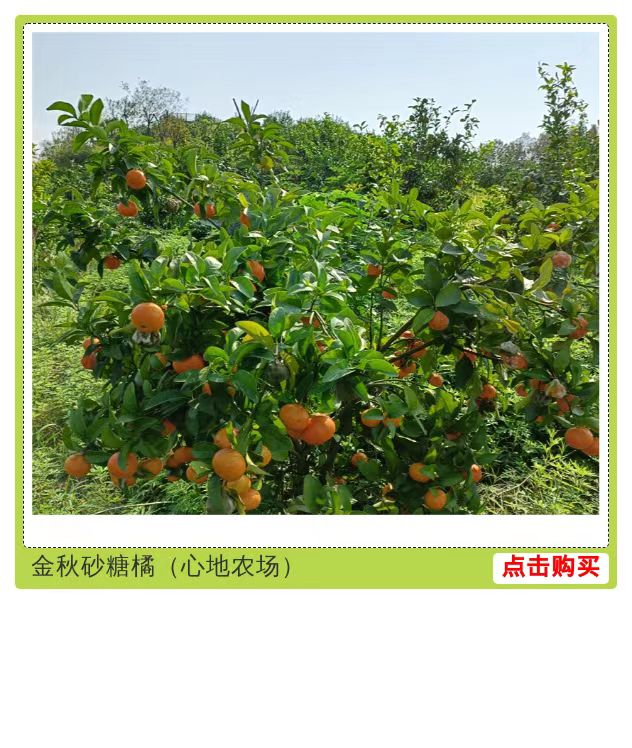 微信图片_20231113141513.jpg 微信图片_20231113141513.jpg